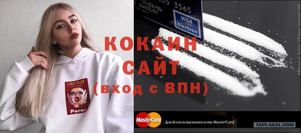 прущие грибы Верея