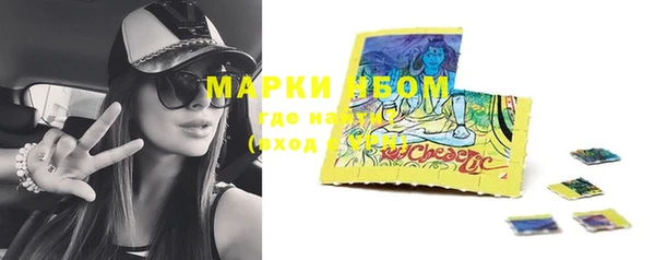 прущие грибы Верея