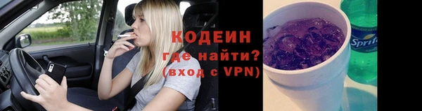 прущие грибы Верея