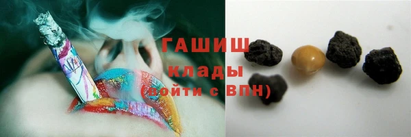 прущие грибы Верея