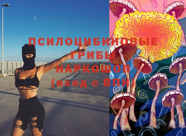 PSILOCYBIN Бугульма