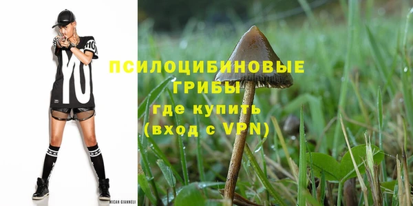 прущие грибы Верея