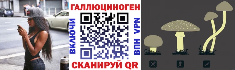 Галлюциногенные грибы Cubensis  Купить где  Полысаево 